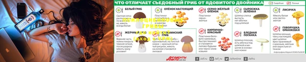mdma Лиски