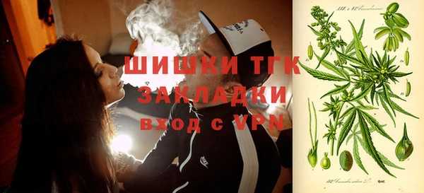 шишки Домодедово