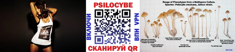 купить наркотики сайты Унеча Псилоцибиновые грибы мицелий
