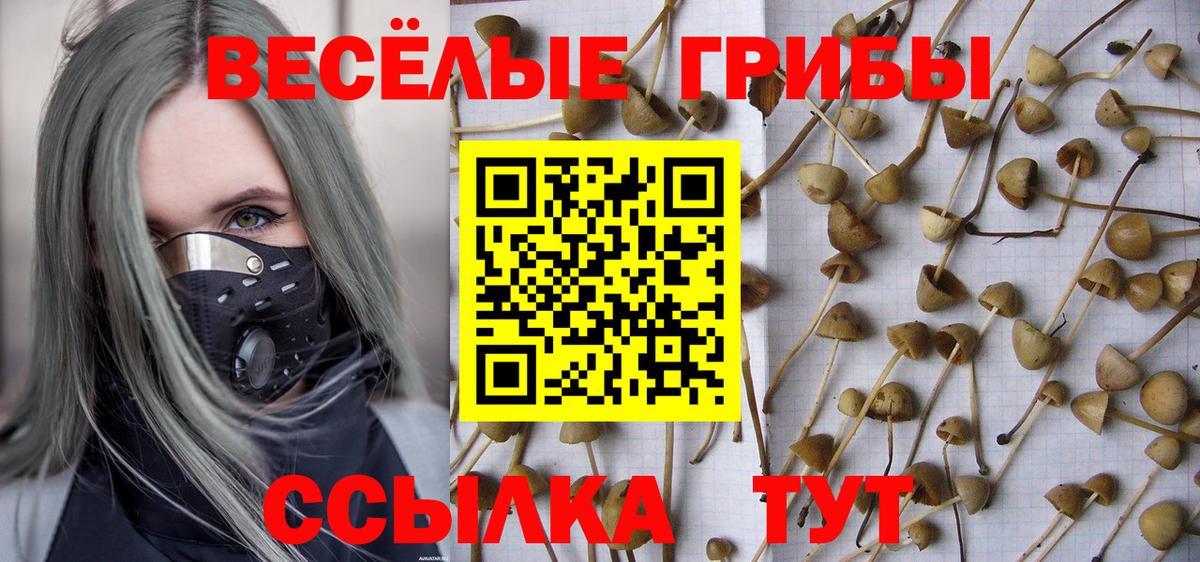 Псилоцибиновые грибы мухоморы Унеча