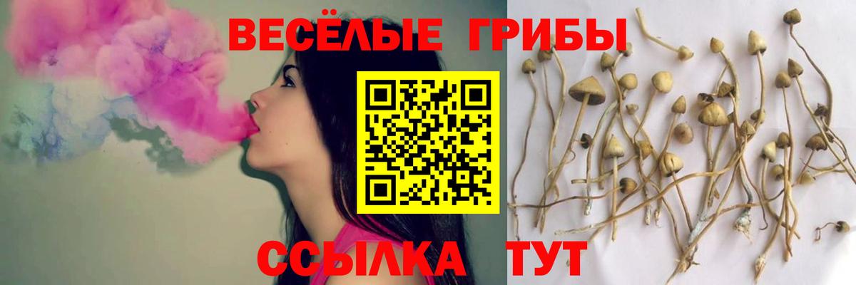 Псилоцибиновые грибы Magic Shrooms  Галлюциногенные грибы ЛСД  Вход с VPN  Унеча 